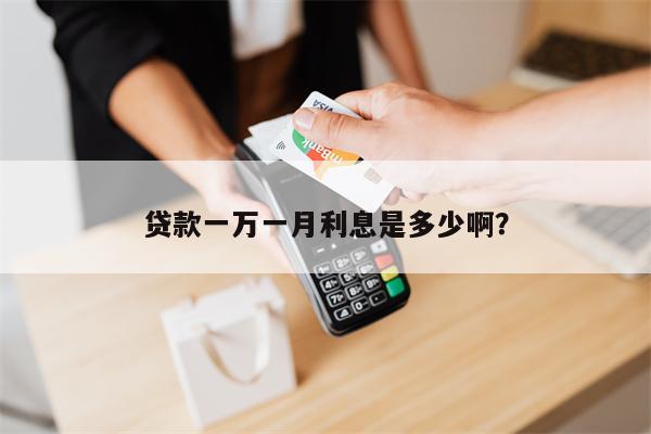 贷款一万一月利息是多少啊?