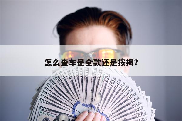 怎么查车是全款还是按揭?