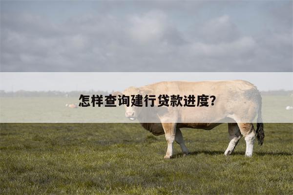 怎样查询建行贷款进度?