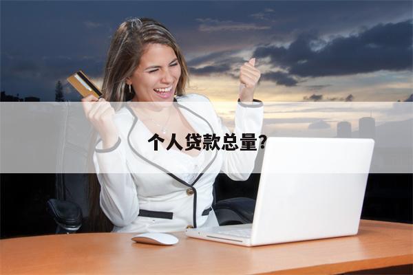 个人贷款总量?
