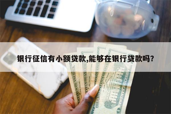 银行征信有小额贷款,能够在银行贷款吗?