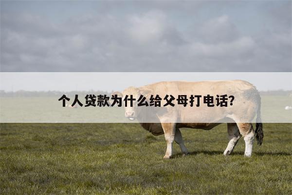 个人贷款为什么给父母打电话?
