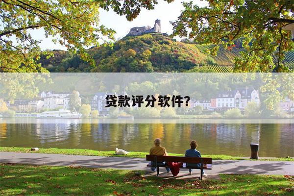 贷款评分软件?
