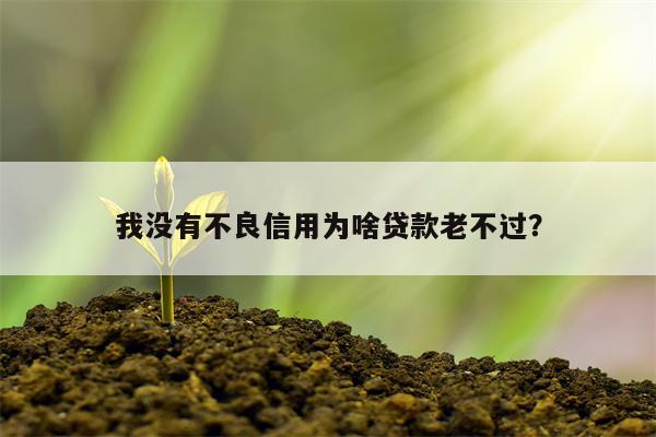 我没有不良信用为啥贷款老不过?