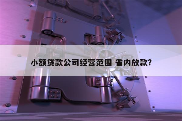 小额贷款公司经营范围 省内放款?