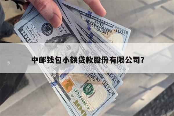 中邮钱包小额贷款股份有限公司?