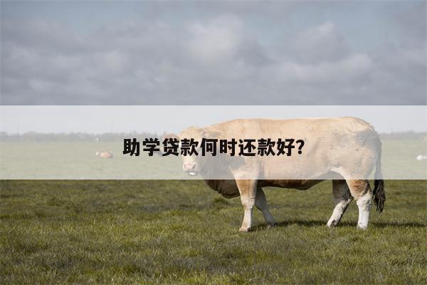 助学贷款何时还款好?