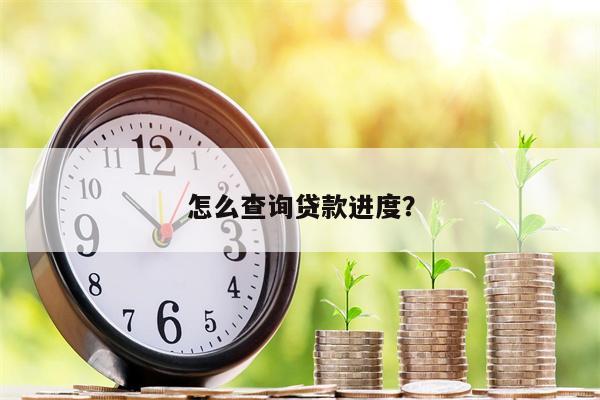 怎么查询贷款进度?