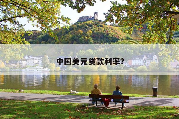 中国美元贷款利率?