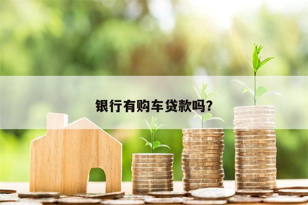 银行有购车贷款吗?