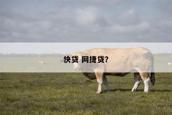 快贷 网捷贷?