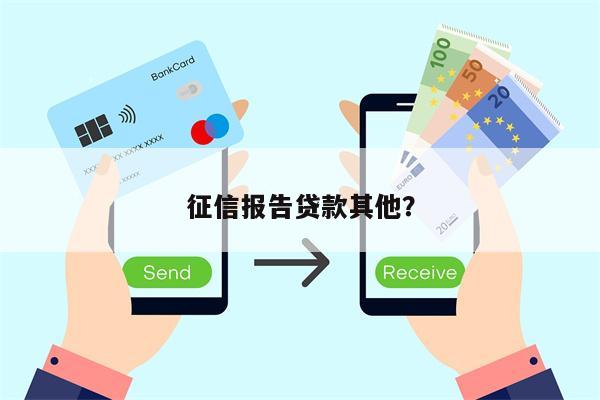 征信报告贷款其他?