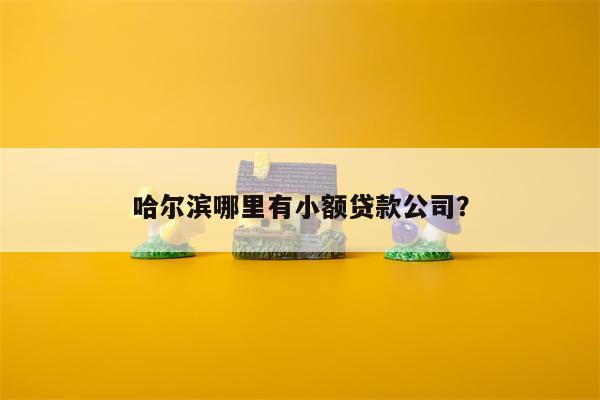 哈尔滨哪里有小额贷款公司?