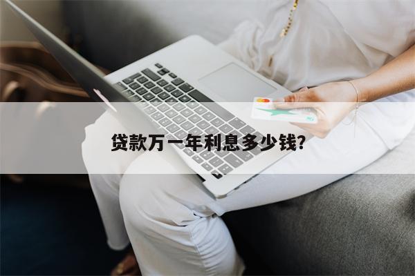 贷款万一年利息多少钱?