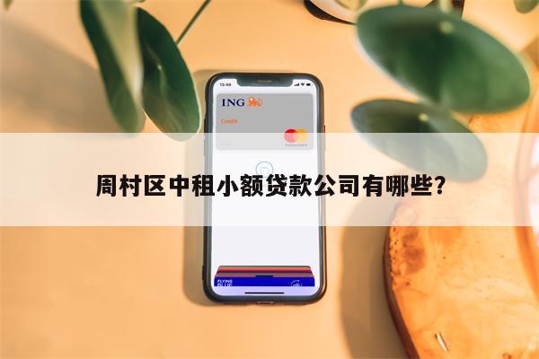 周村区中租小额贷款公司有哪些?