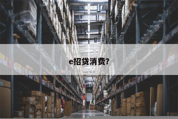 e招贷消费?