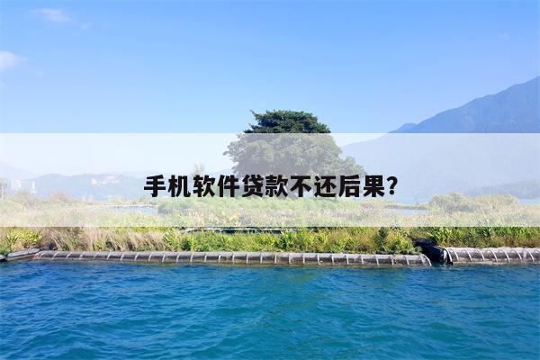 手机软件贷款不还后果?