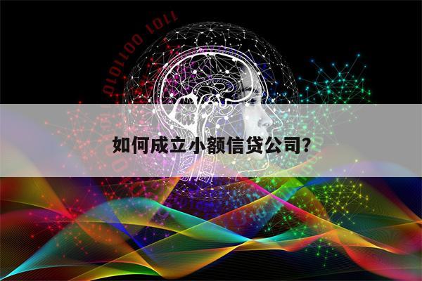 如何成立小额信贷公司?
