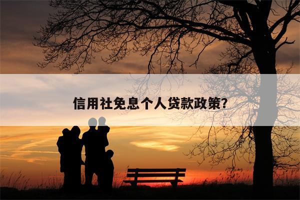 信用社免息个人贷款政策?