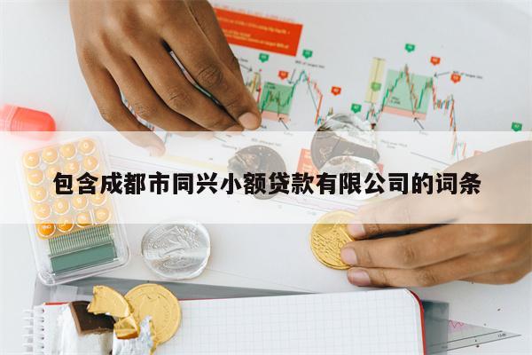 包含成都市同兴小额贷款有限公司的词条