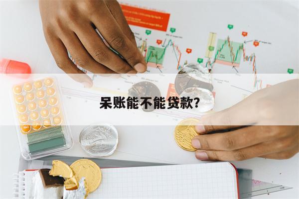 呆账能不能贷款?
