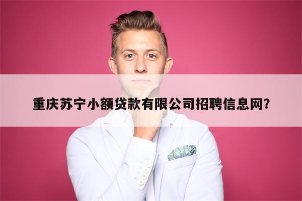重庆苏宁小额贷款有限公司招聘信息网?