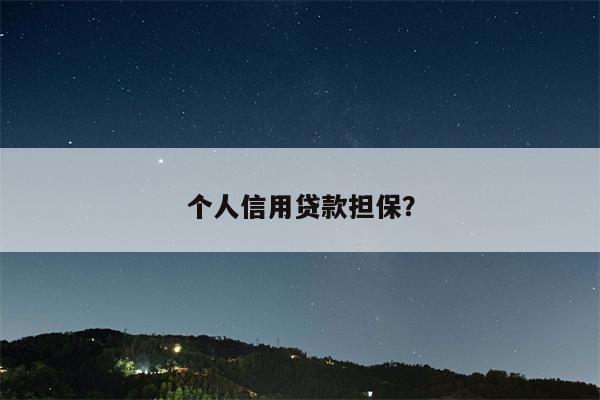 个人信用贷款担保?