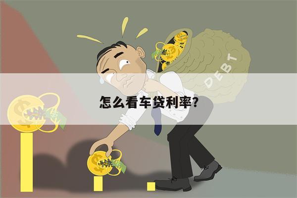 怎么看车贷利率?