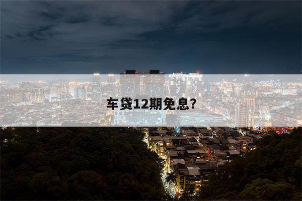 车贷12期免息?