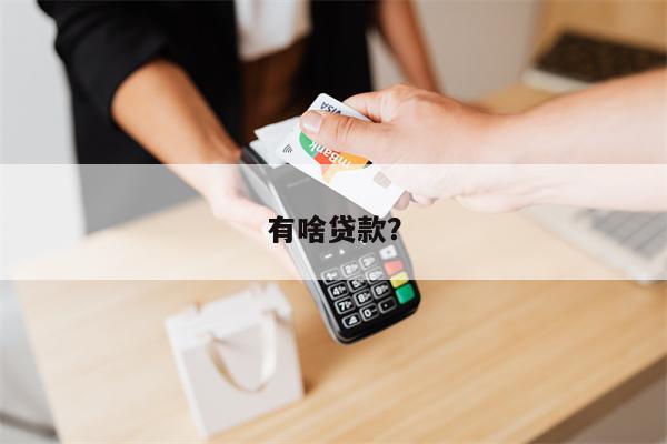 有啥贷款?