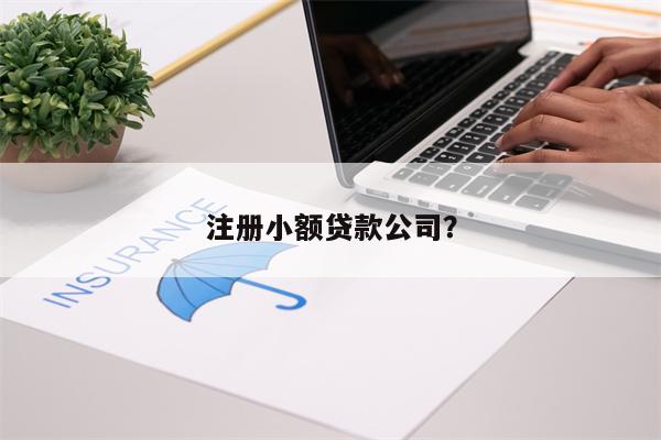 注册小额贷款公司?