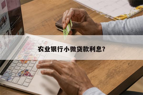 农业银行小微贷款利息?