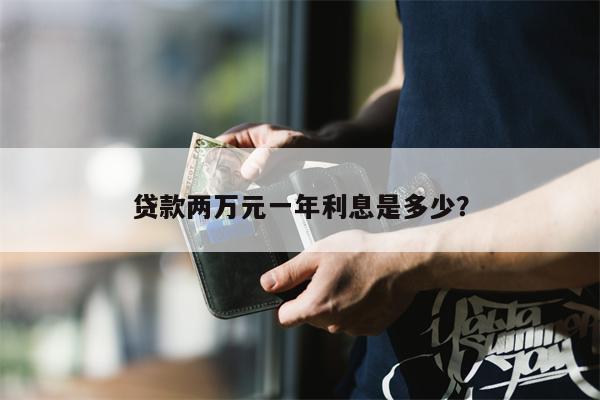 贷款两万元一年利息是多少?