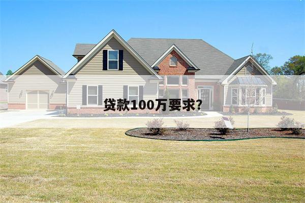 贷款100万要求?