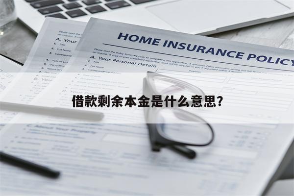 借款剩余本金是什么意思?