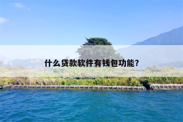 什么贷款软件有钱包功能?