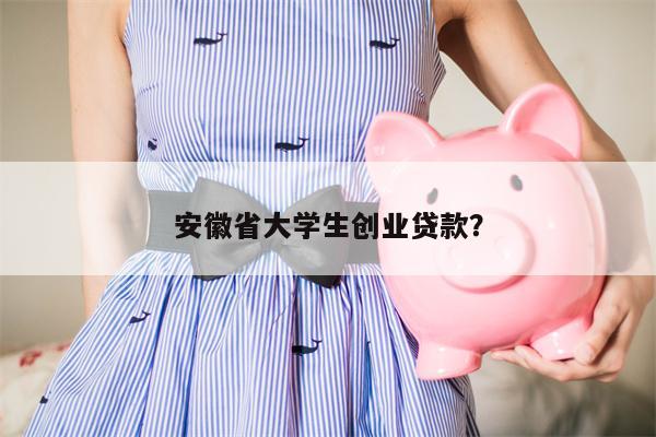 安徽省大学生创业贷款?