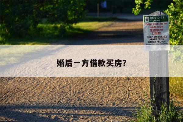 婚后一方借款买房?