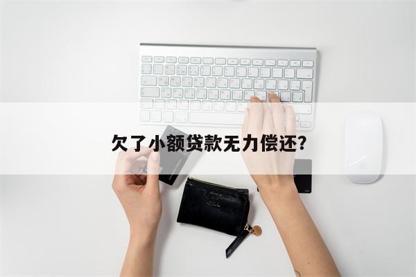欠了小额贷款无力偿还?