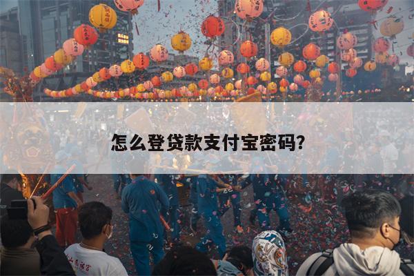 怎么登贷款支付宝密码?