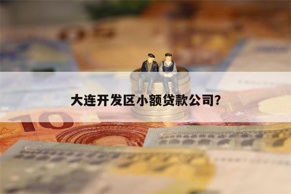 大连开发区小额贷款公司?