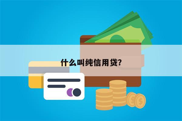 什么叫纯信用贷?