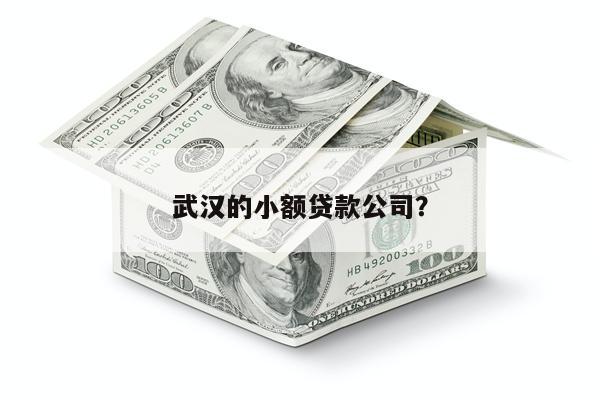 武汉的小额贷款公司?