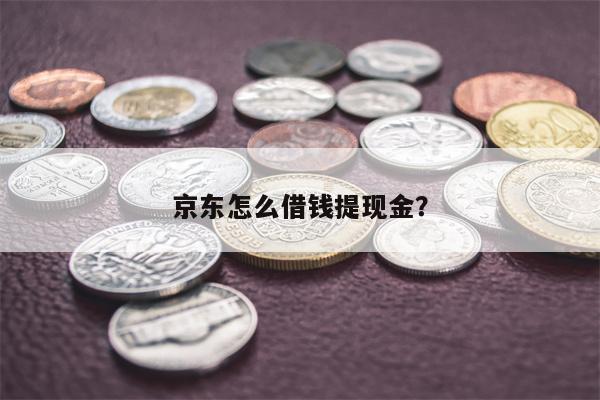 京东怎么借钱提现金?