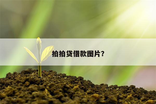 拍拍贷借款图片?