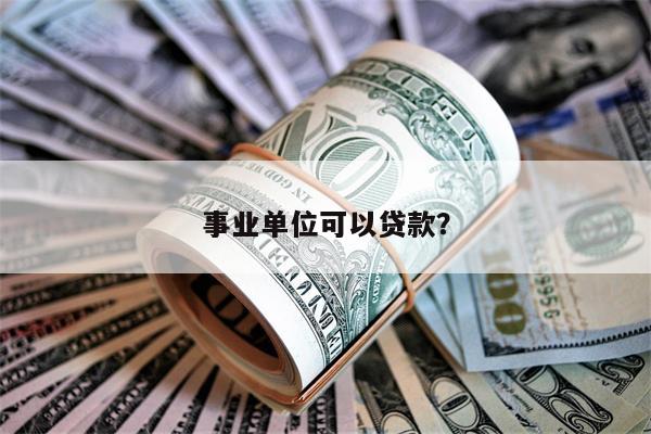 事业单位可以贷款?