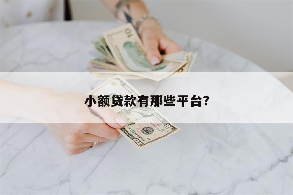 小额贷款有那些平台?
