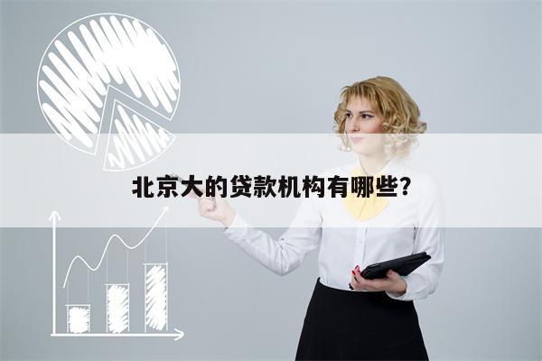 北京大的贷款机构有哪些?