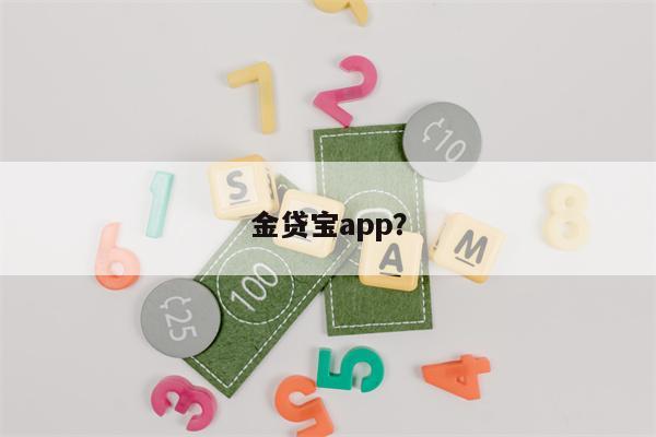 金贷宝app?