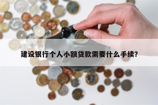 建设银行个人小额贷款需要什么手续?